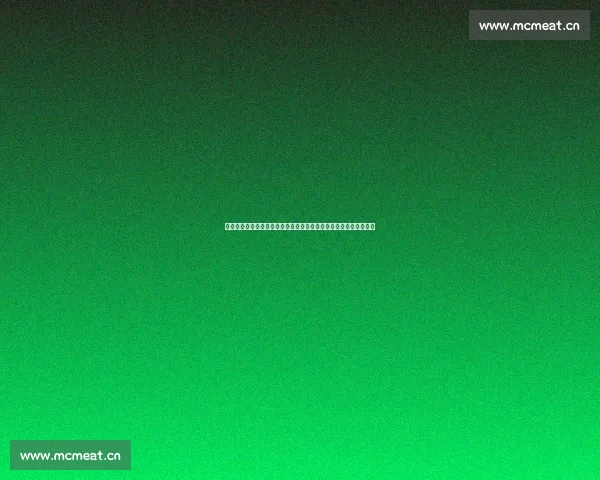梦幻西游主线支线剧情全流程深度解析与高效通关实用指南大全集锦